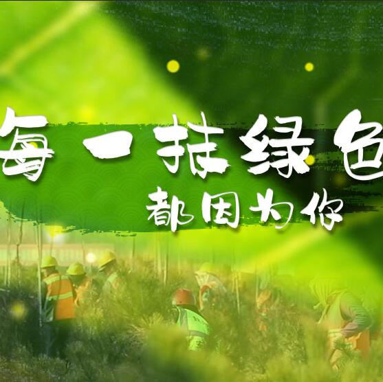 千年秀林，每一抹綠色都因?yàn)槟? /></a>       
<div   id=