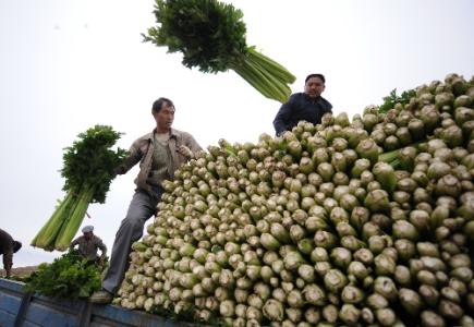劉永富：發(fā)展產(chǎn)業(yè)脫貧仍是精準(zhǔn)扶貧、精準(zhǔn)脫貧主攻方向
