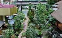 震撼！日本最豪華的廁所（組圖）