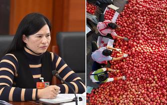 全國人大代表曾云英：新型農(nóng)業(yè)將迎來高質量發(fā)展的機遇