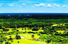 去海口與溫泉私約