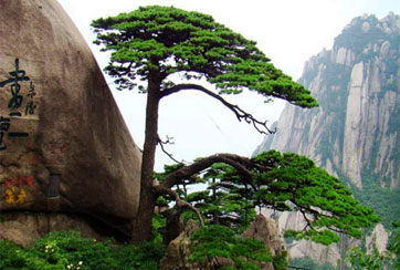 《行走》年終盤點(diǎn)·游名山大川