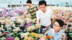 臺(tái)商眼中的改革開放：風(fēng)景這邊獨(dú)好 要去，要去，要去！