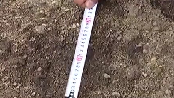 黑龍江發(fā)現野生東北虎蹤跡