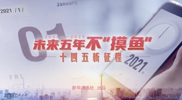 未來五年，不“摸魚”