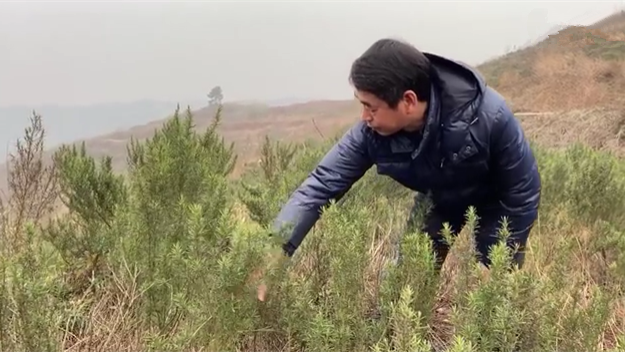 新春走基層｜脫貧后，駐村扶貧隊長在干啥？