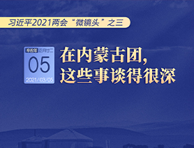 習近平2021兩會“微鏡頭”之三 3月5日 在內(nèi)蒙古團，這些事談得很深
