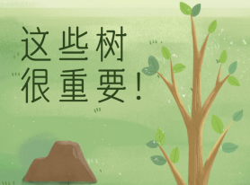 這些樹很重要！