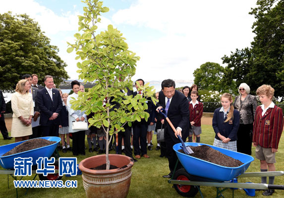 11月18日，國家主席習近平在澳大利亞塔斯馬尼亞州與朗塞斯頓市斯科奇－歐克伯恩小學的小學生共同植樹。新華社記者 饒愛民 攝