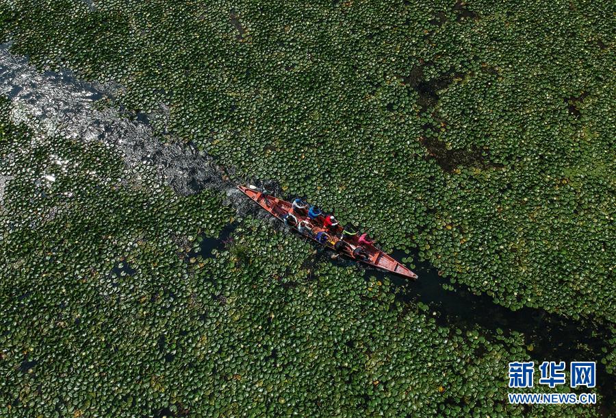 （國際&middot;年終報道）（8）2019，精&ldquo;彩&rdquo;紛呈