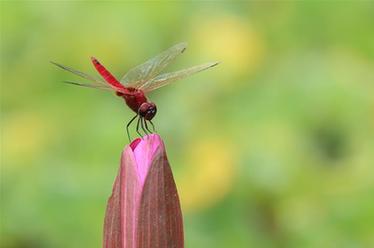 2019，精&ldquo;彩&rdquo;紛呈